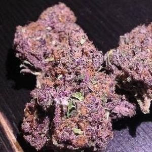 Buy Purple Haze in Australia 