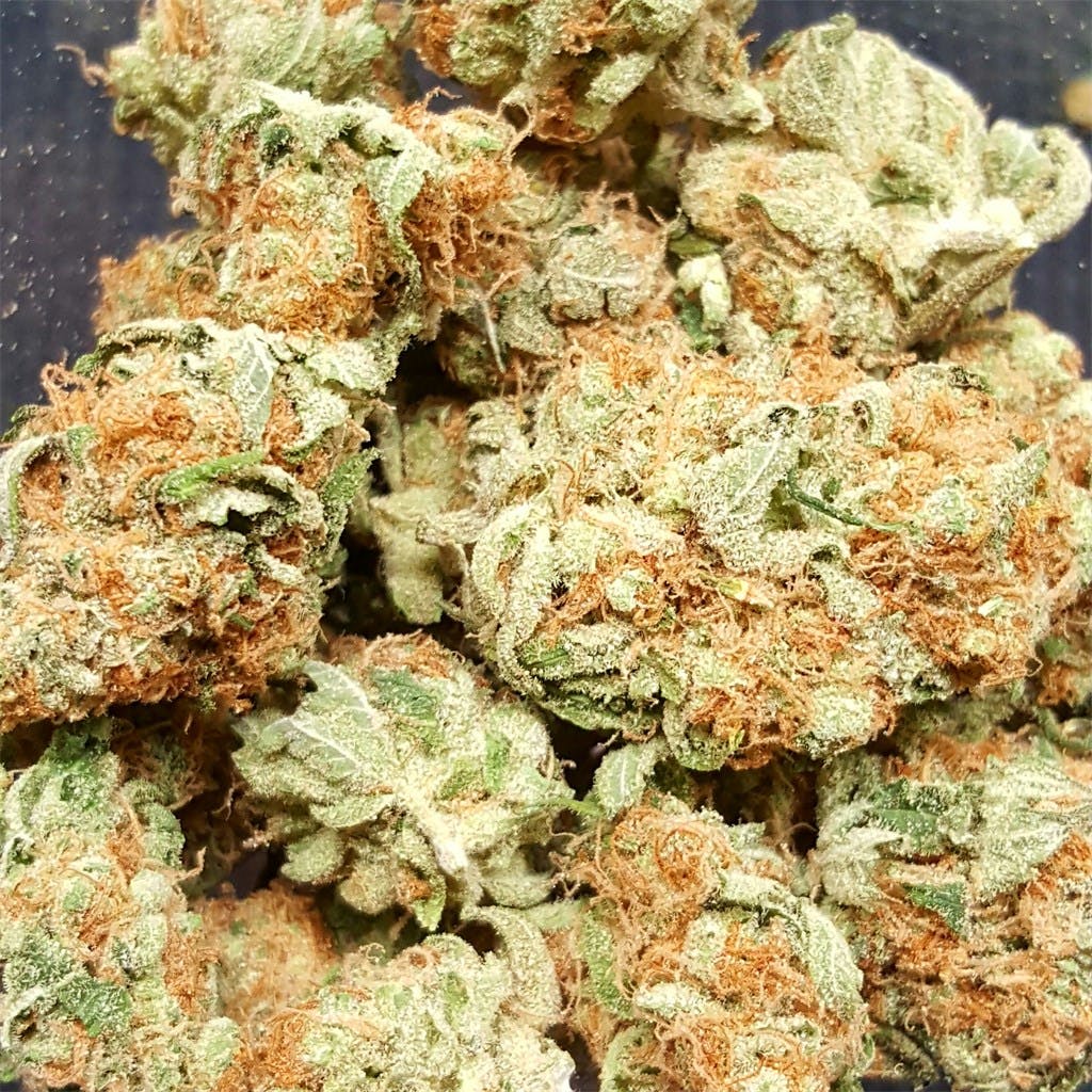 Buy Weed Online Bundaberg Australia From 420auweed And Get A 100% Safe And Discreet Delivery Guaranteed Order Marijuana In QLD